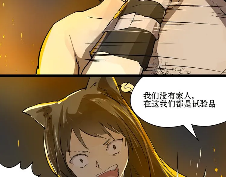 完结篇：猫，我不想失去你！ 第3页