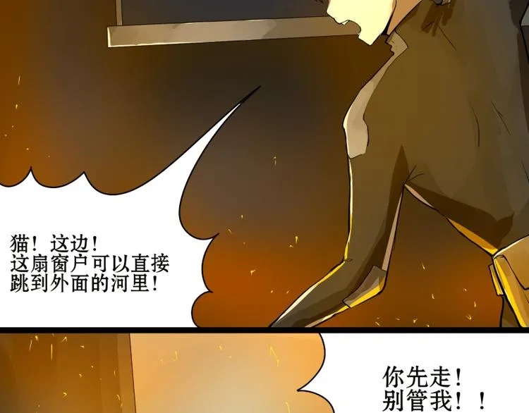 完结篇：猫，我不想失去你！ 第5页