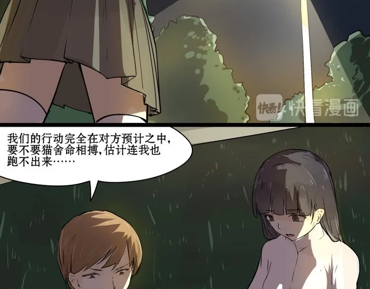 完结篇：猫，我不想失去你！ 第24页