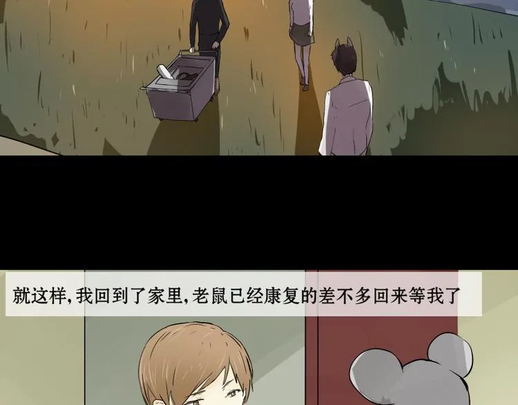 完结篇：猫，我不想失去你！ 第29页