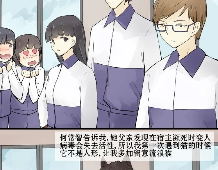 完结篇：猫，我不想失去你！ 第33页