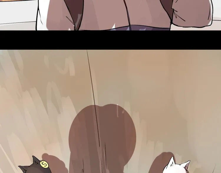 完结篇：猫，我不想失去你！ 第36页