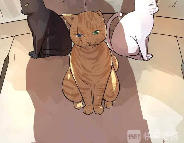 完结篇：猫，我不想失去你！ 第37页