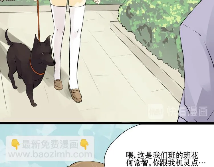 第8话 猫狗相遇 第4页