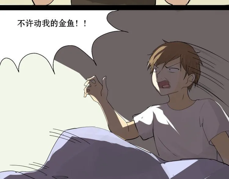 第7话 我的金鱼！！ 第12页