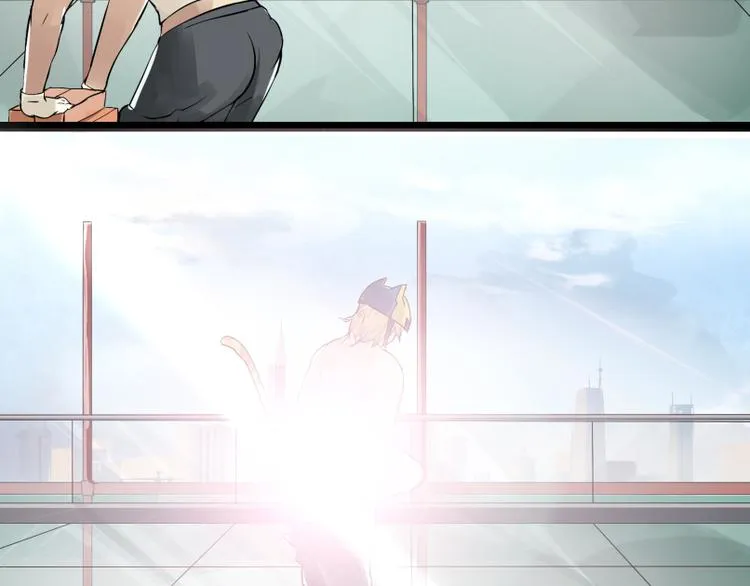 第6话 猫去搬砖了 第5页
