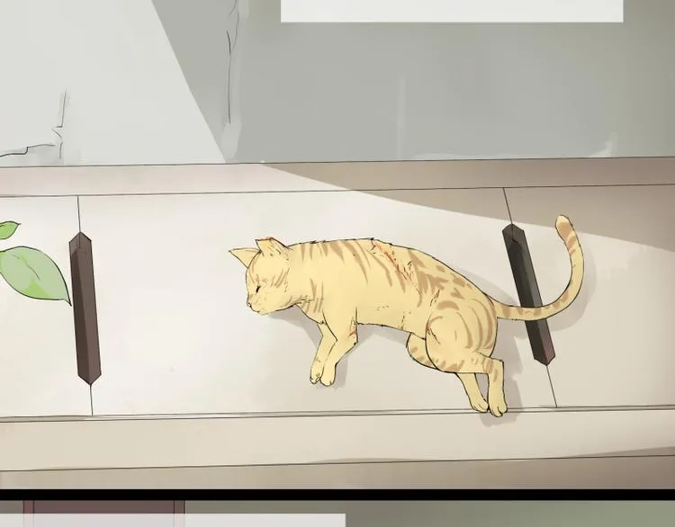 第1话 猫的报恩 第2页