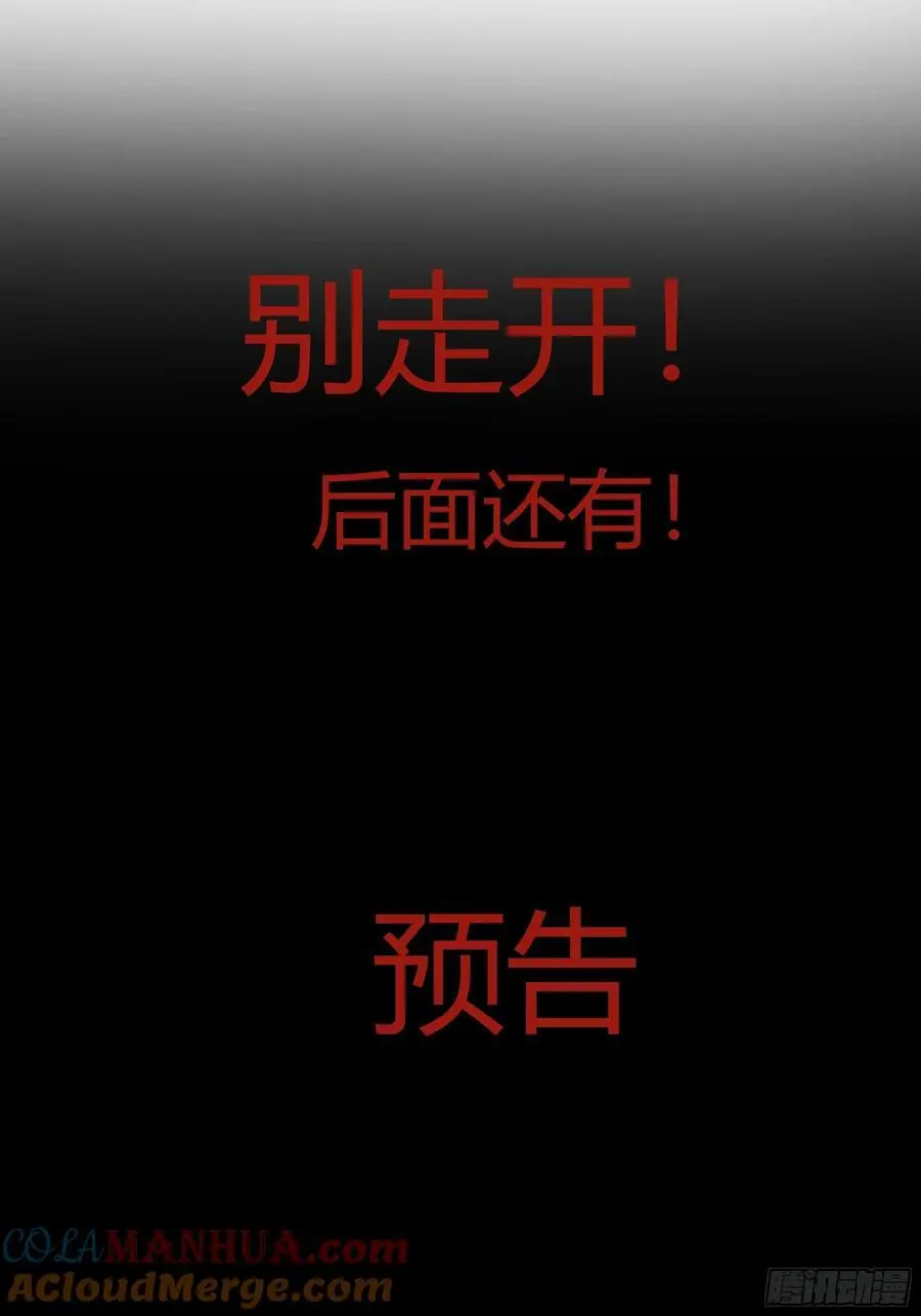 公告 第5页