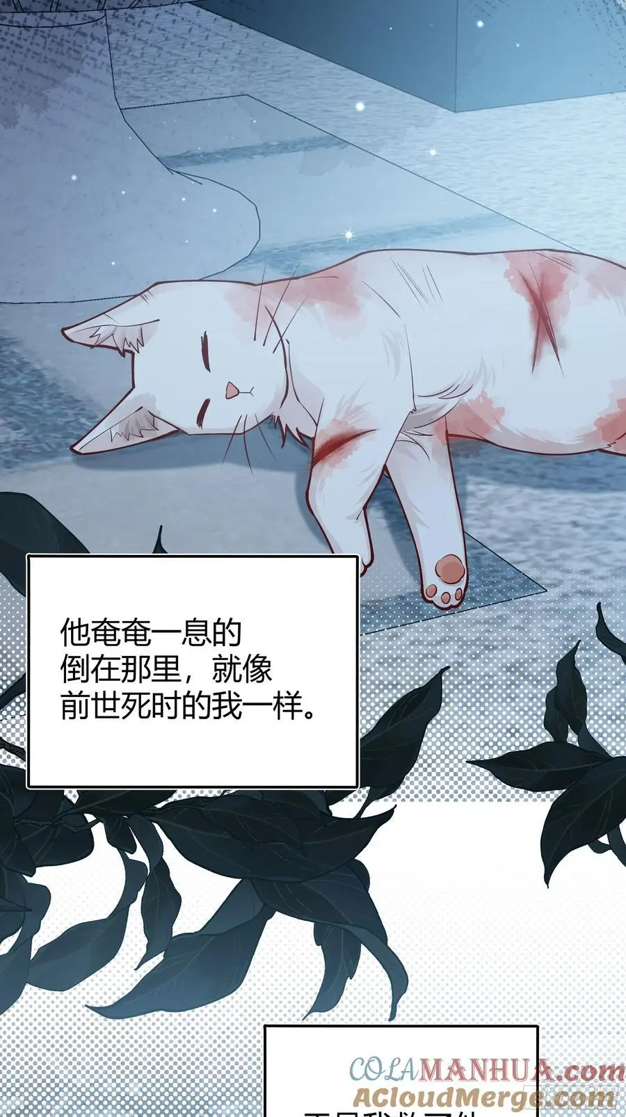 091猫 第25页