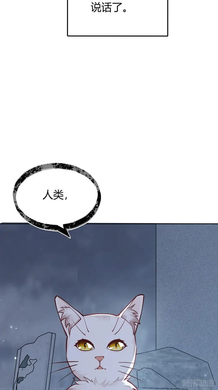 091猫 第27页