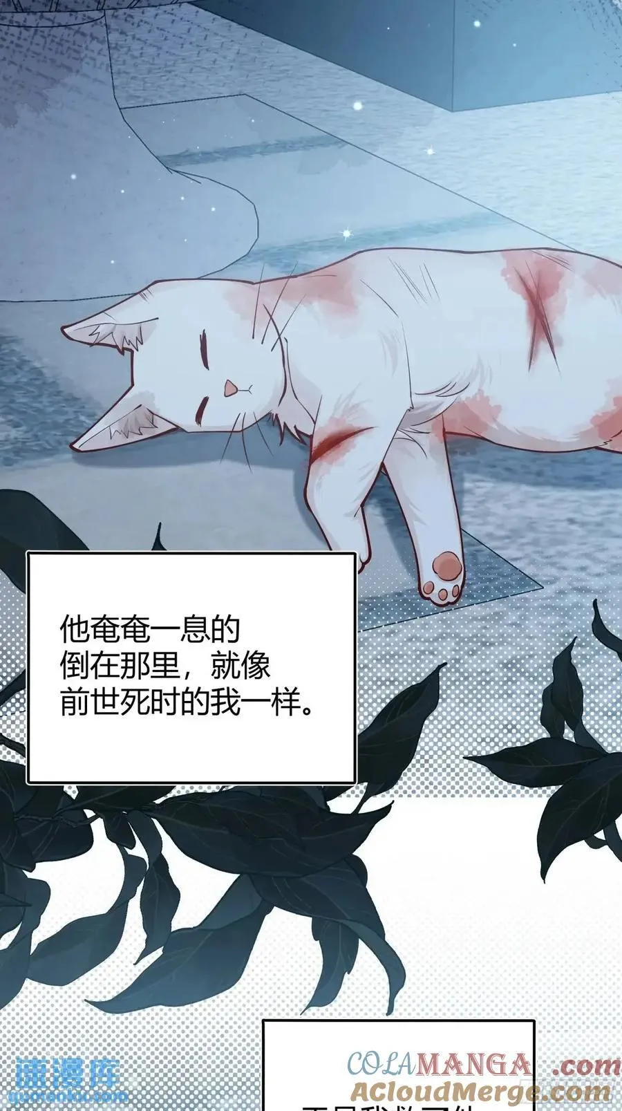 99 091猫 第25页