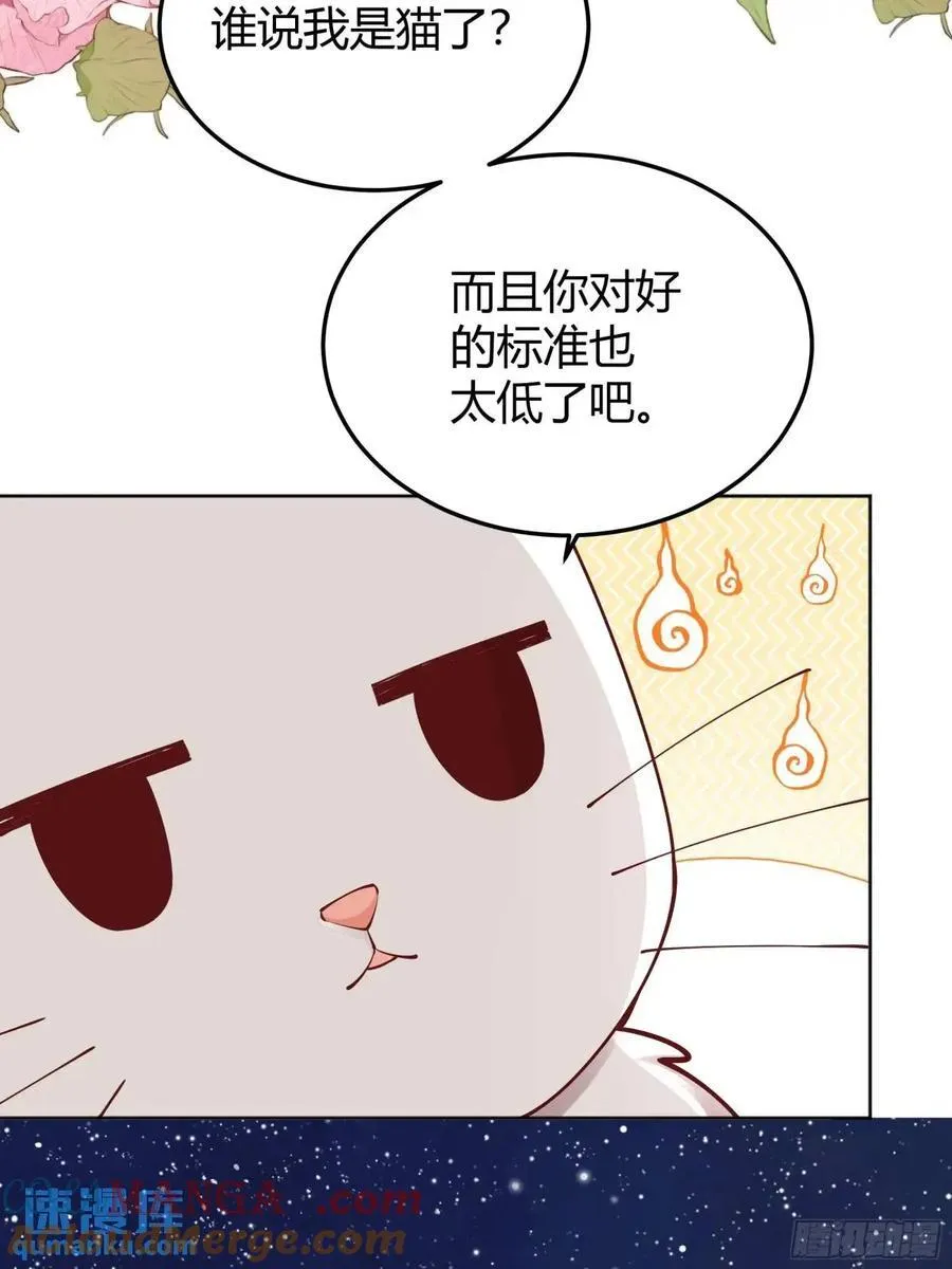 99 091猫 第34页