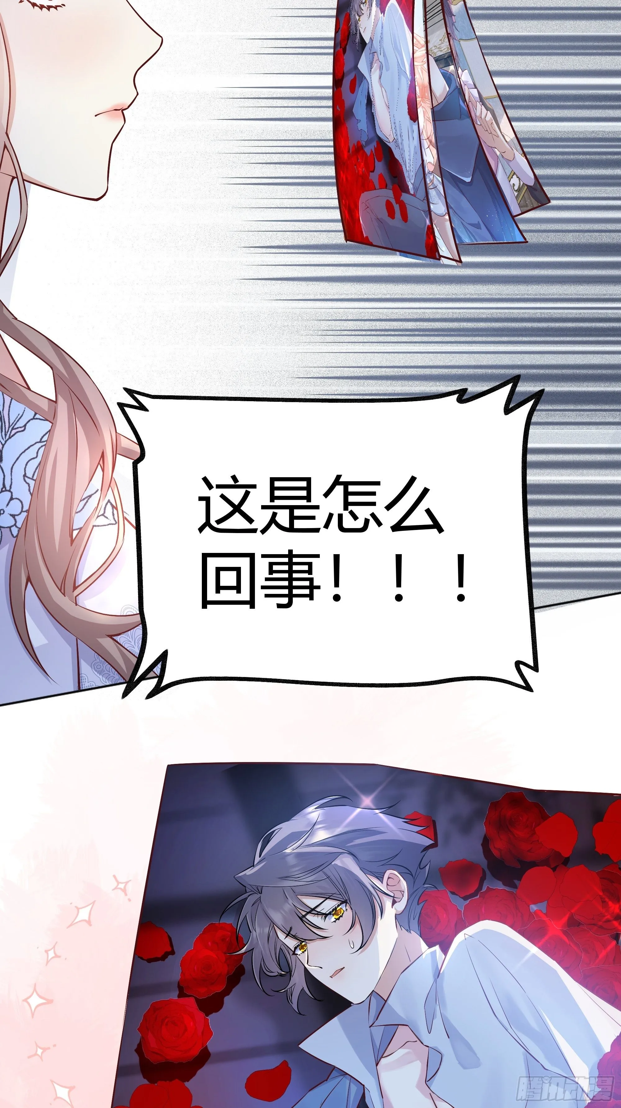 013福利大放送 第27页