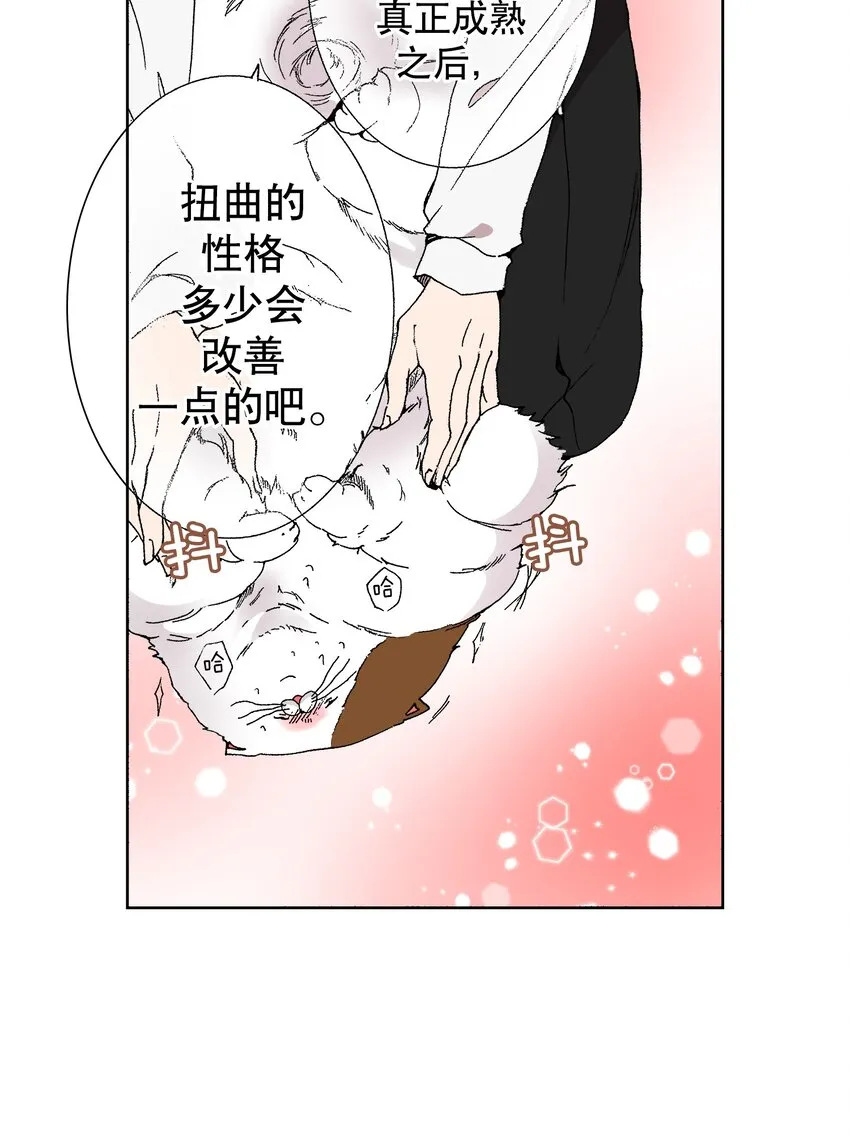 1 1 第17页