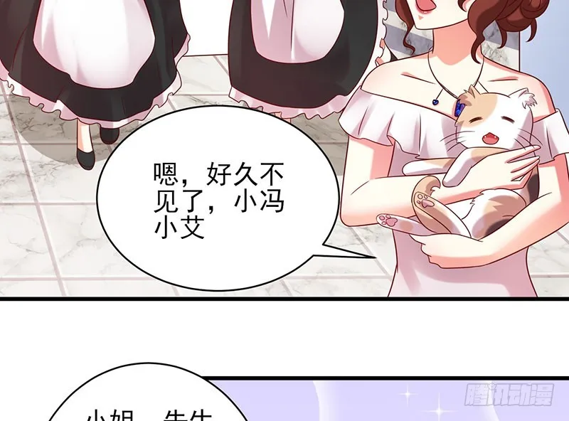 80撸猫咪 第29页