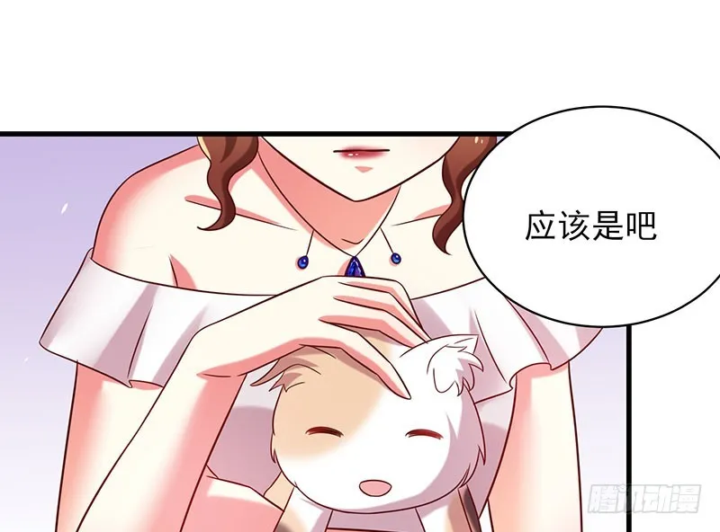 80撸猫咪 第31页
