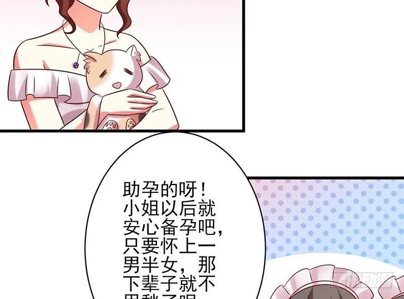 80撸猫咪 第34页