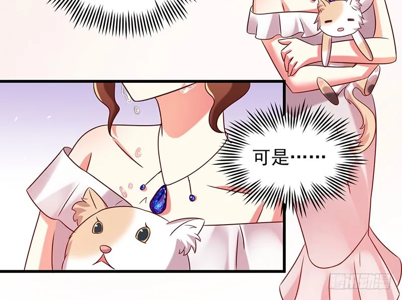 80撸猫咪 第39页
