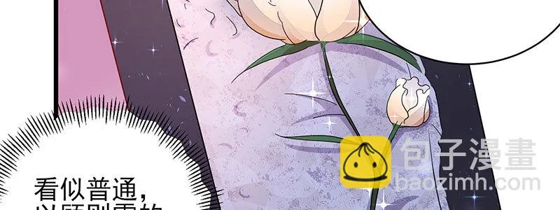 064 水晶花 第33页