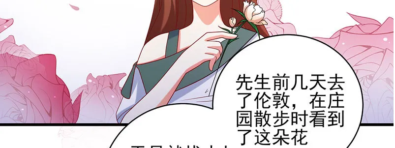 064 水晶花 第41页