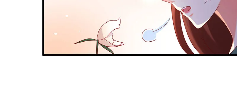 064 水晶花 第75页