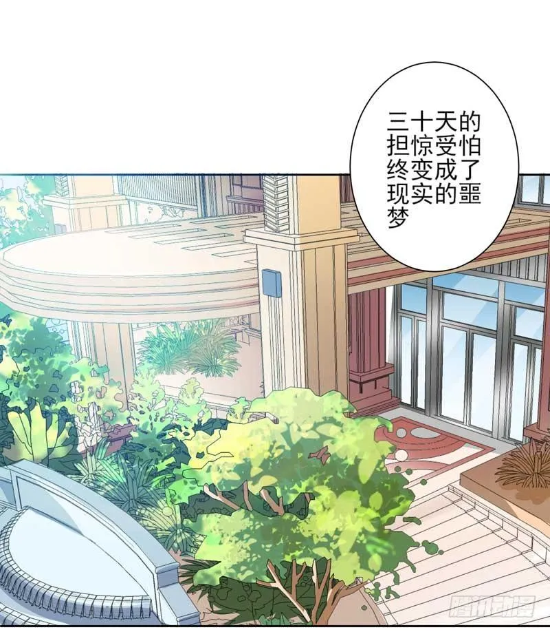 004.少爷回来了 第2页