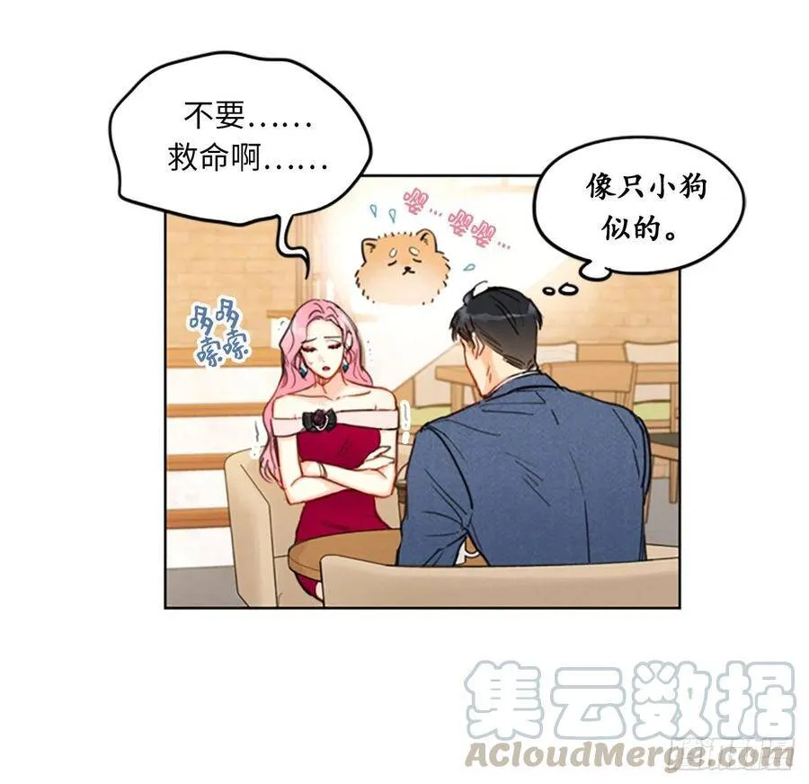 10.梦中被逼婚 第40页