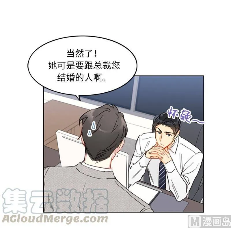 14.我们是不是见过 第11页
