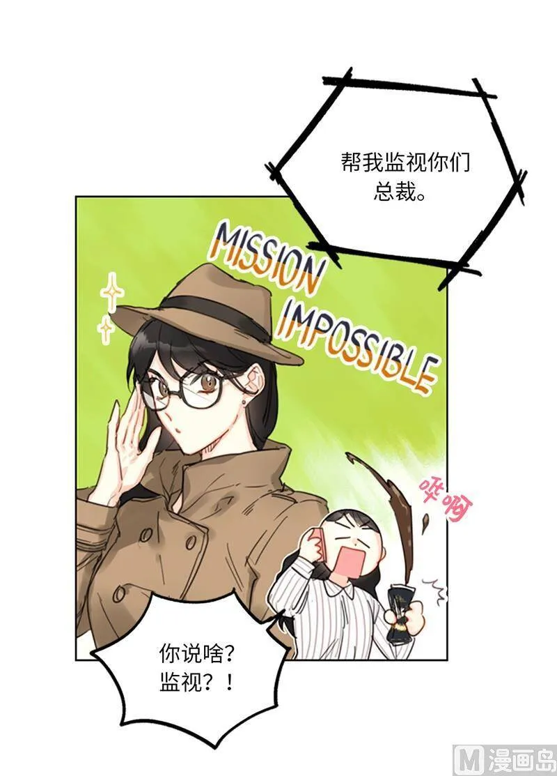 15.一见钟情 第14页