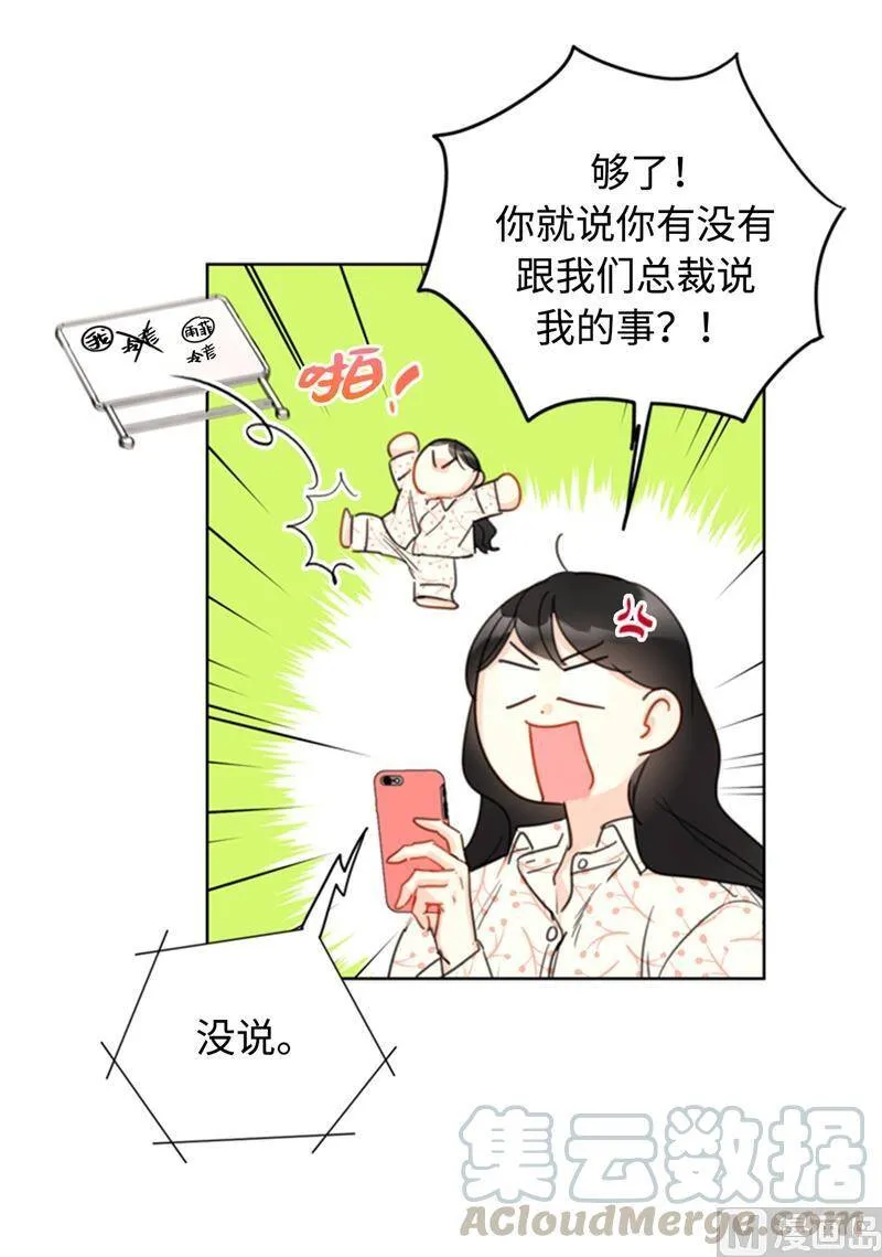 17.要不我们还是招了吧 第11页