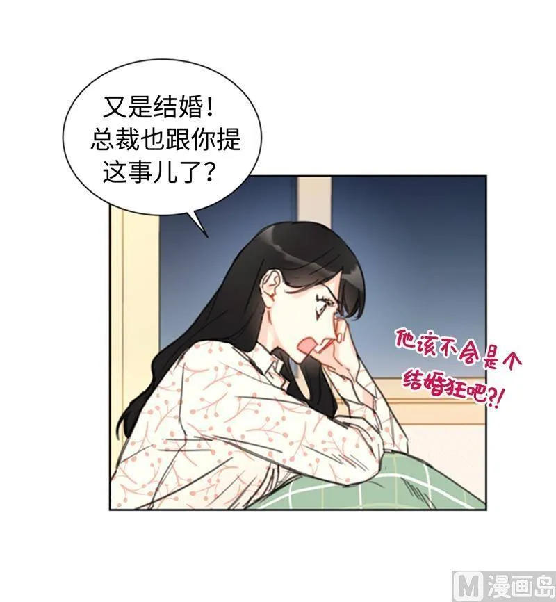 17.要不我们还是招了吧 第26页