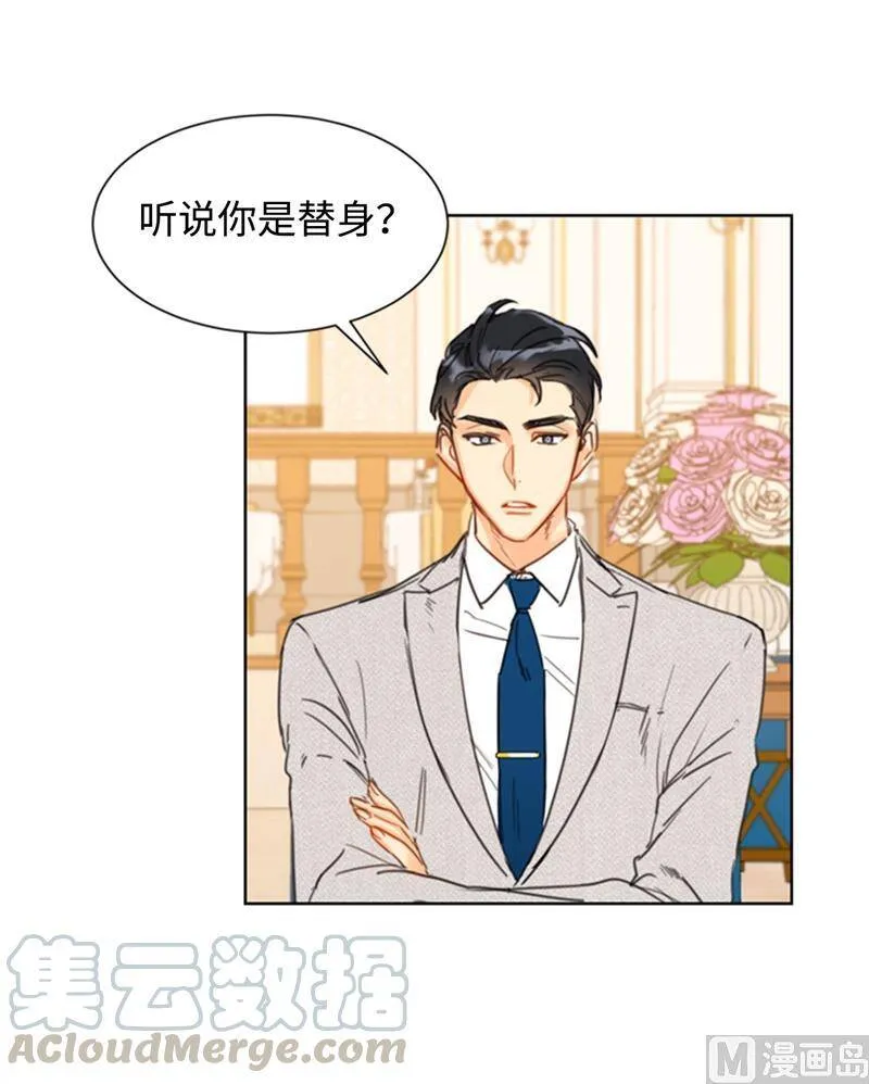 21.听说你是替身？ 第19页