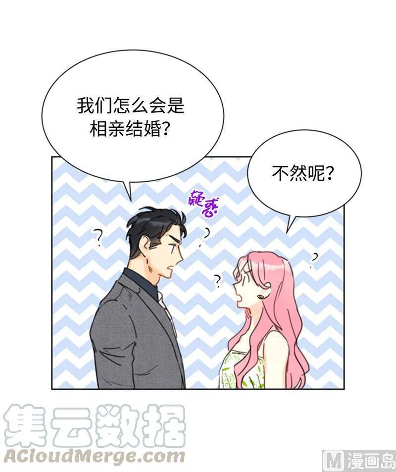 30.因为你搞砸了我的相亲 第37页