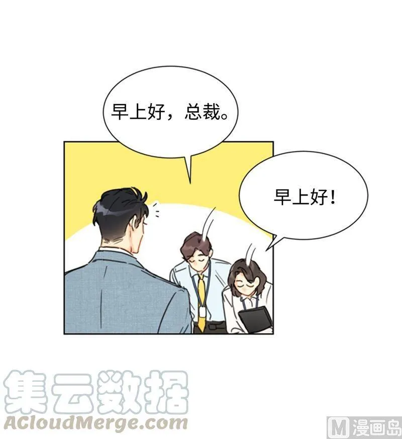 31.我们春心荡漾的总裁 第27页