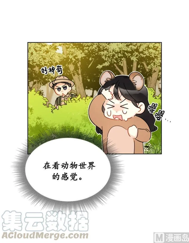 31.我们春心荡漾的总裁 第35页