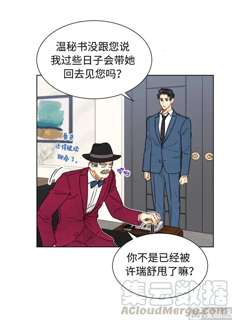 35.不是被甩，是被骗了！ 第13页