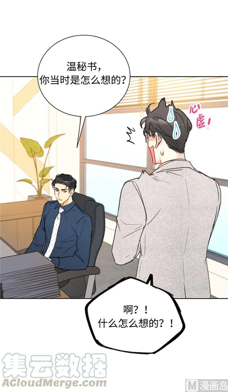 45.又让秘书去相亲？ 第15页