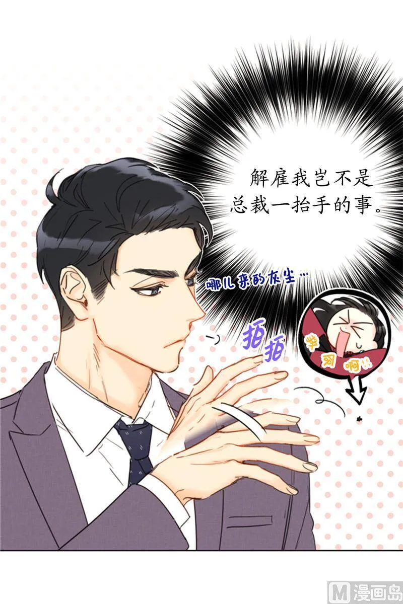 49.下决心坦白 第12页