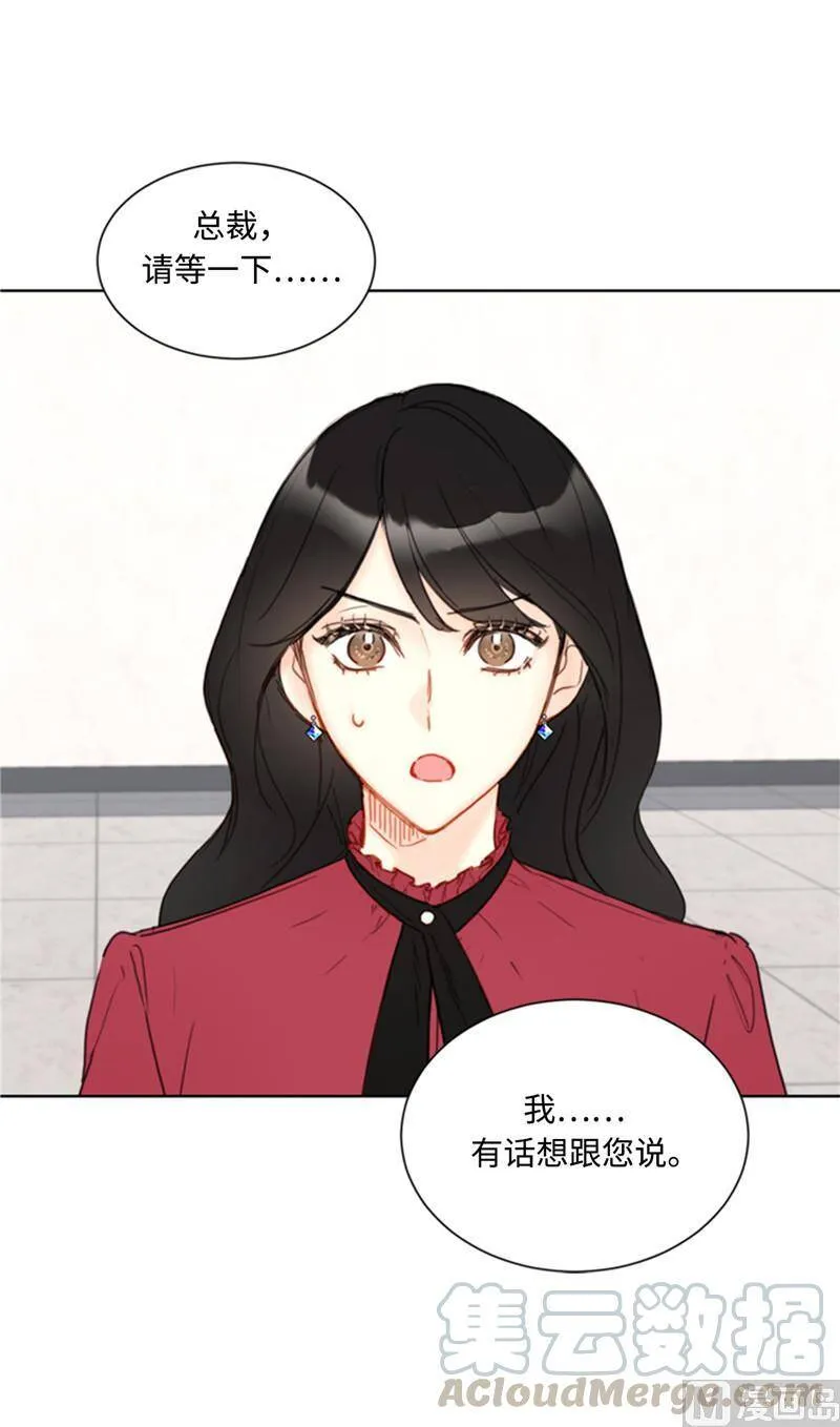 49.下决心坦白 第23页