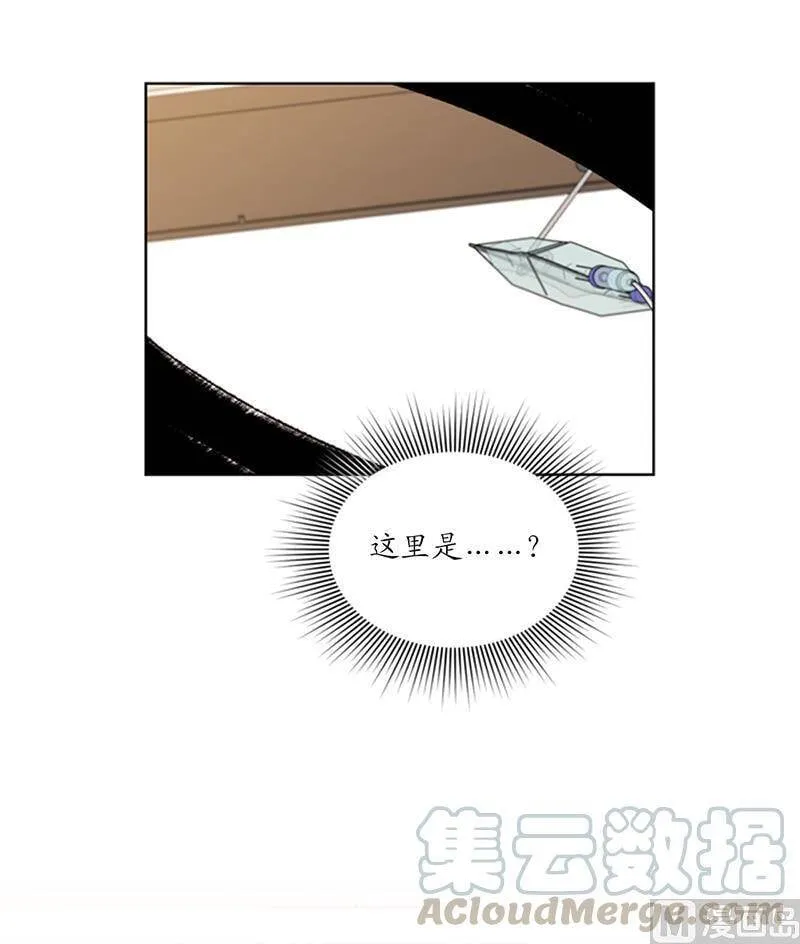 95.温秘书出车祸？！ 第11页