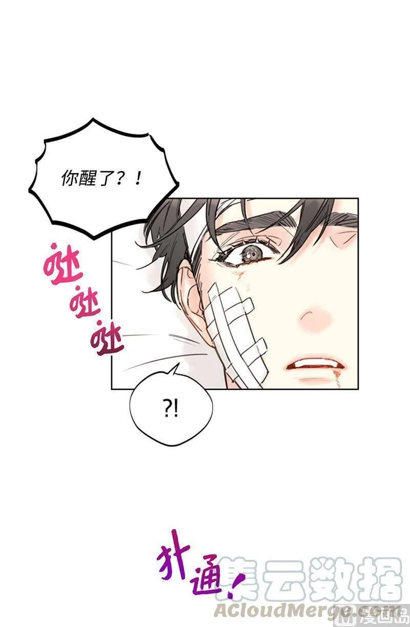 95.温秘书出车祸？！ 第13页