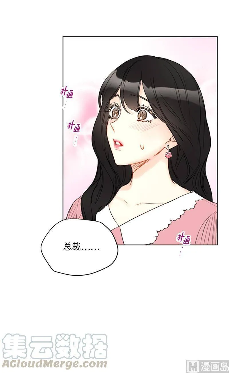 97.不许提结婚 第13页