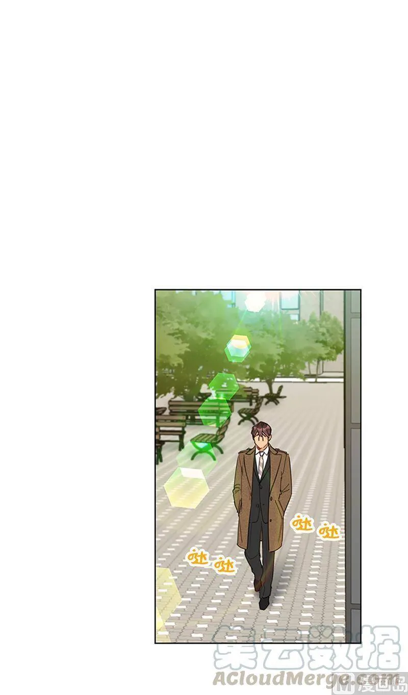 129.极力劝阻 第29页