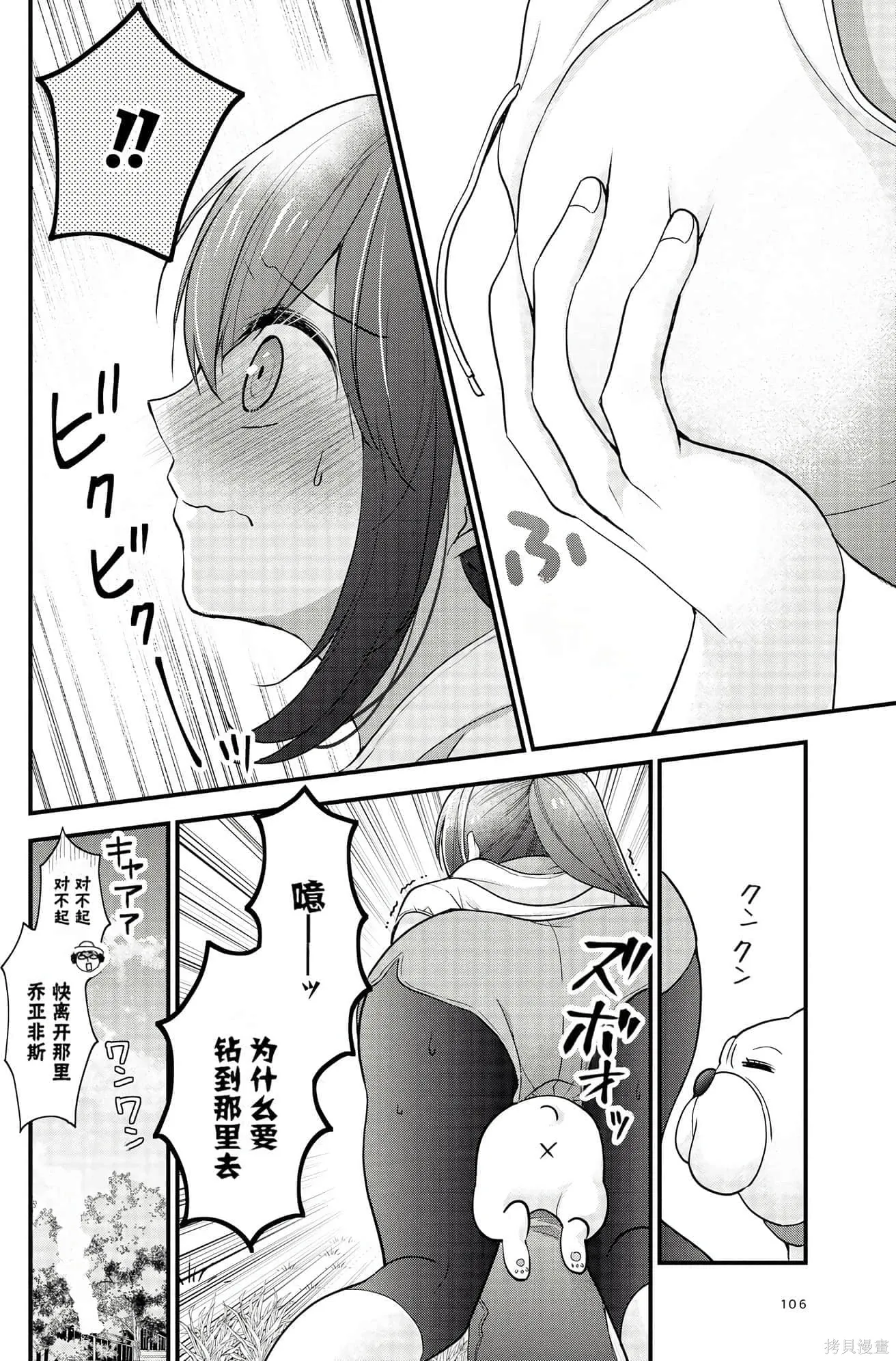 第1卷 第106页
