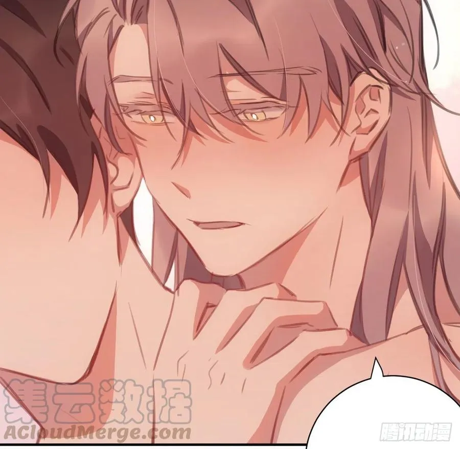探花 第13页