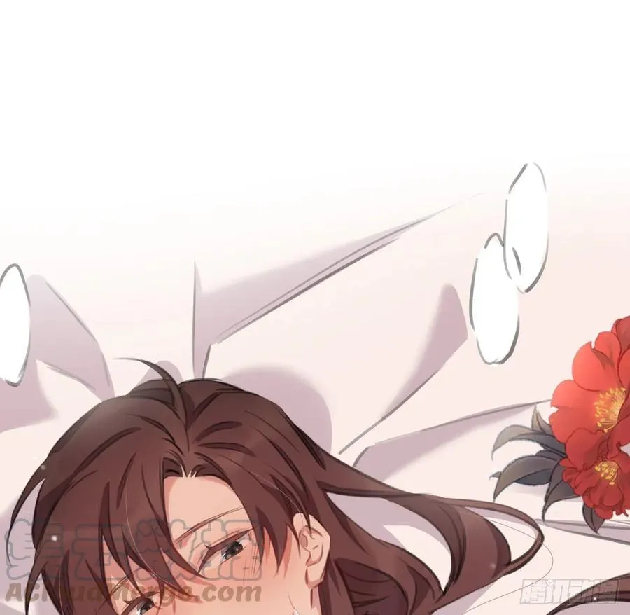 探花 第28页