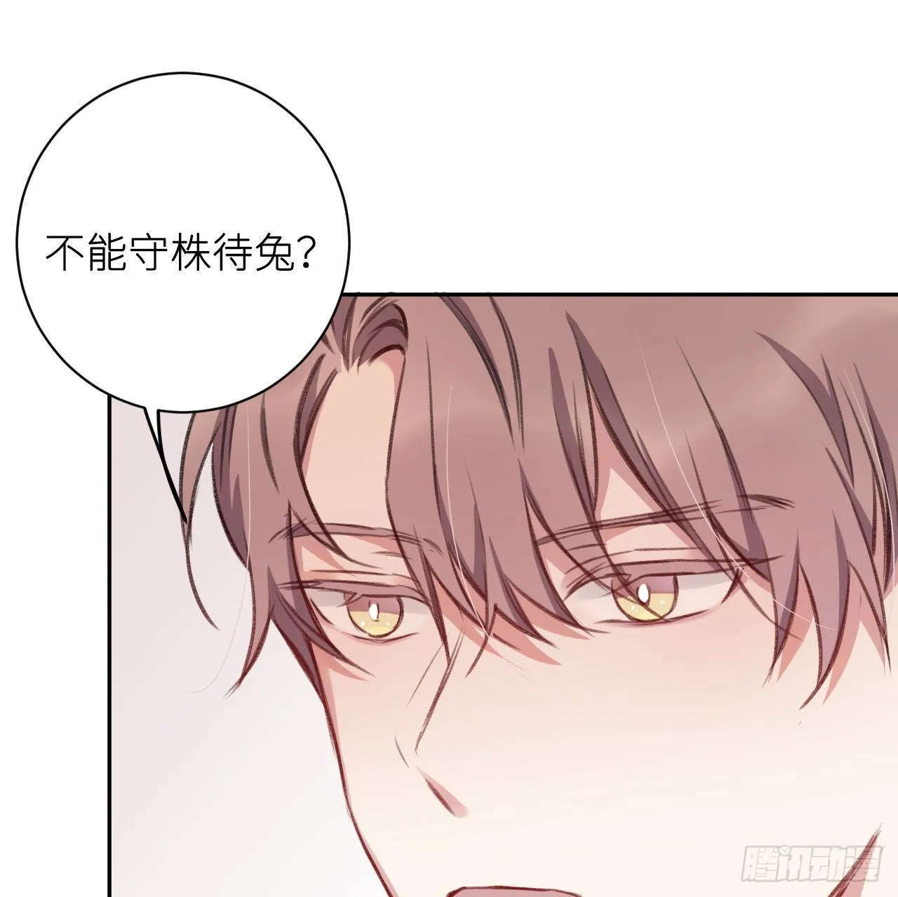 朕的兔子 第59页