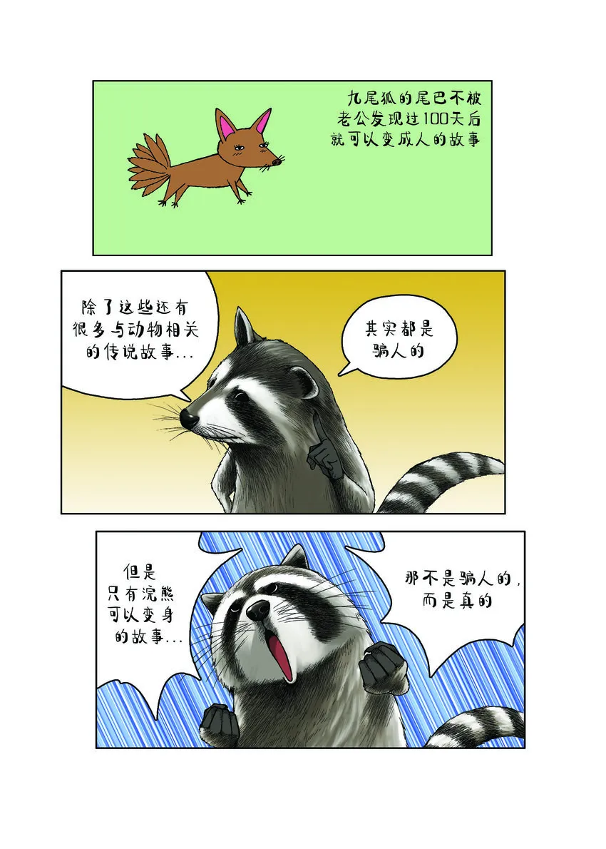 第一季 第29集 会变身的浣熊 第2页