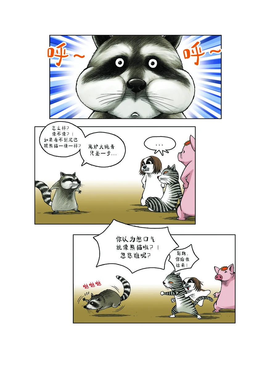 第一季 第29集 会变身的浣熊 第5页