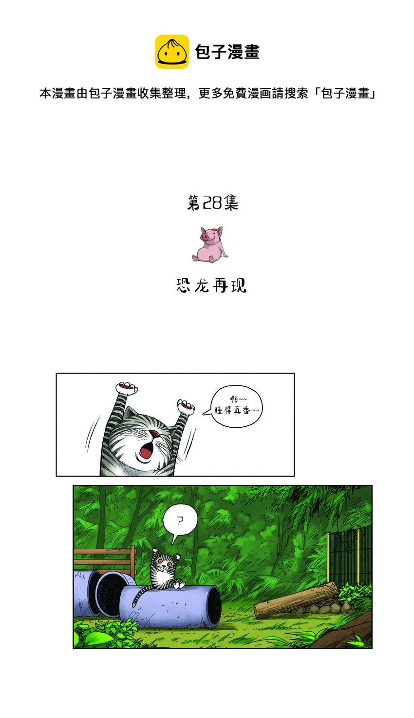 第一季 第28集 恐龙再现 第1页